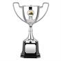 Nickel Plated Trophy thumbnail